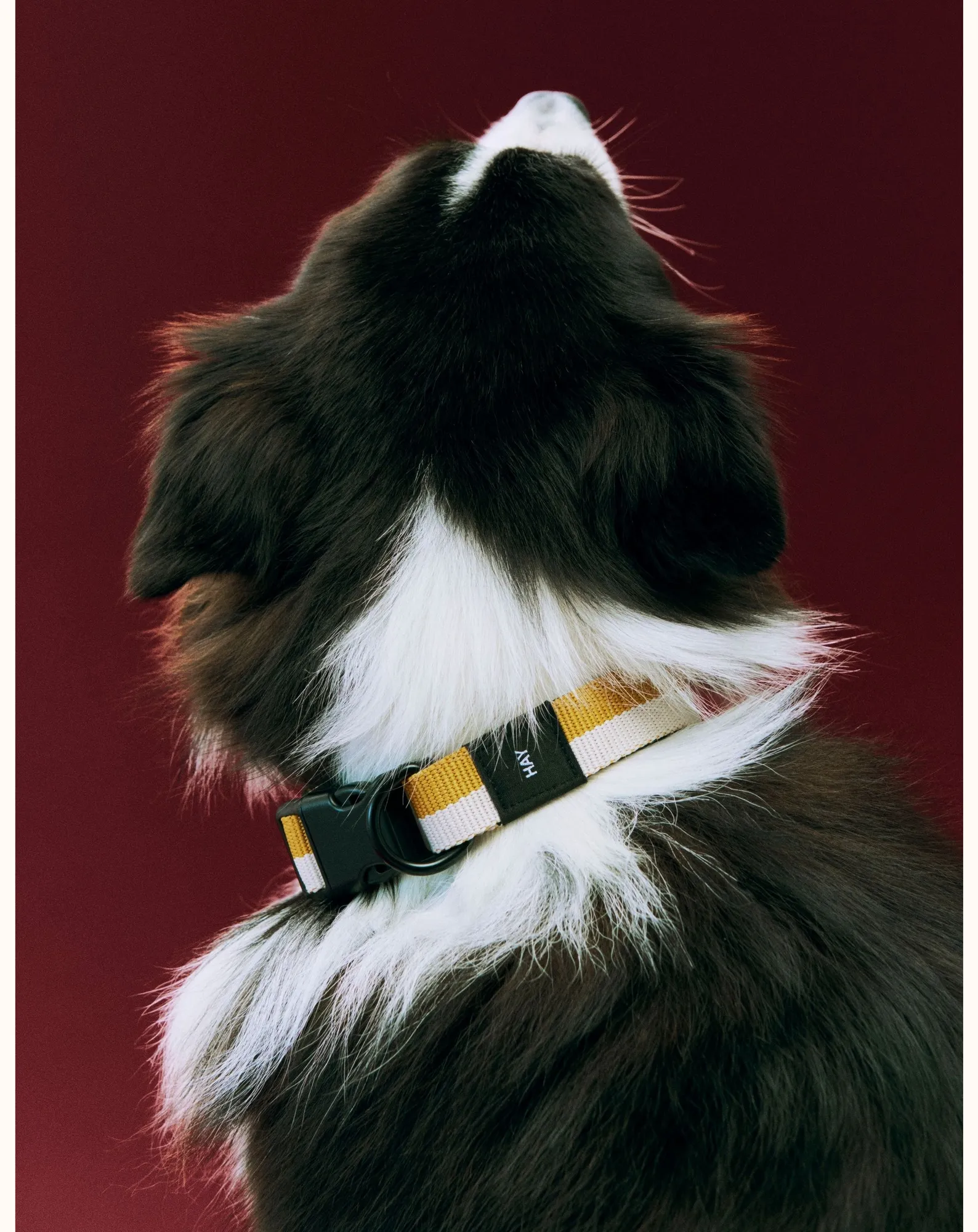 Collier - Image 3